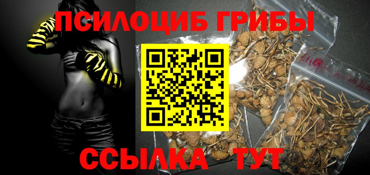 Галлюциногенные грибы GOLDEN TEACHER  Вход с VPN  Избербаш 